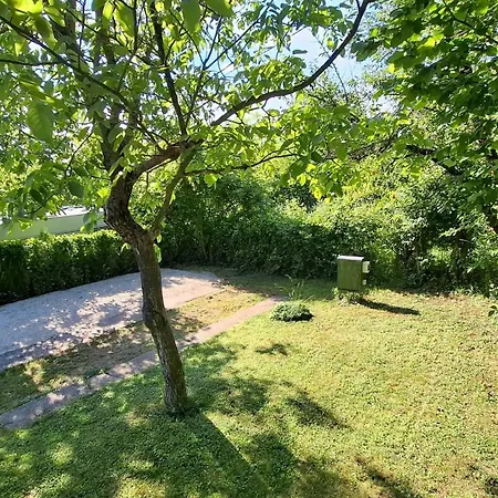 Campingrosengarten * Cserszegtomaj