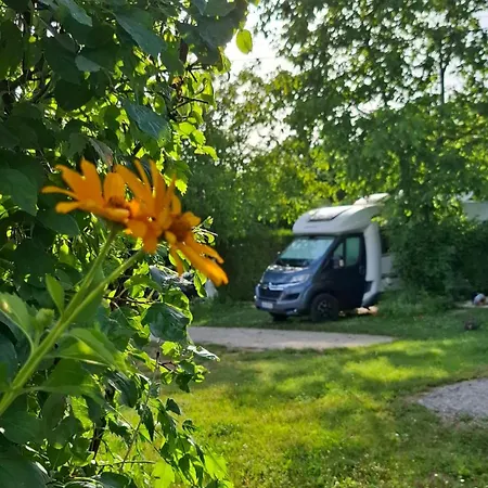Campingrosengarten Campsite *